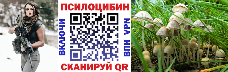 Купить где  Анива  Галлюциногенные грибы мухоморы 